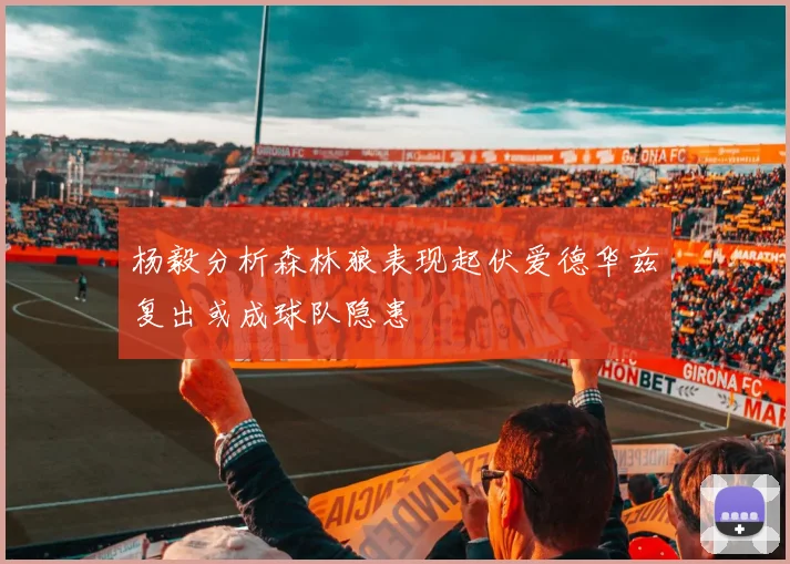 杨毅分析森林狼表现起伏爱德华兹复出或成球队隐患