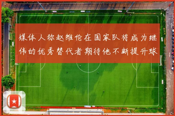 媒体人称赵维伦在国家队将成为继伟的优秀替代者期待他不断提升球技
